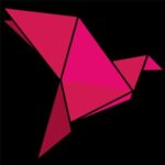Bkash Logo